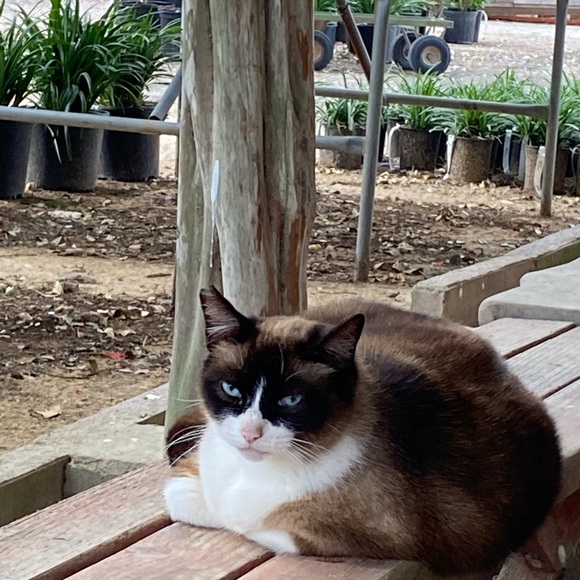 Meet your Posher, LC - Picture 8 of 14